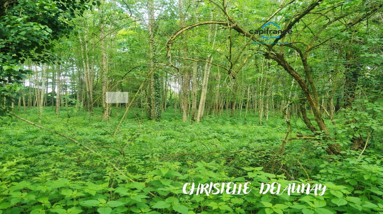 Ma-Cabane - Vente Divers CRAON, 34403 m²