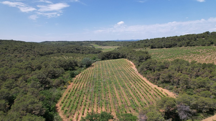 Ma-Cabane - Vente Divers CREISSAN, 15338 m²