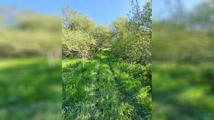 Ma-Cabane - Vente Divers CROZON, 520 m²