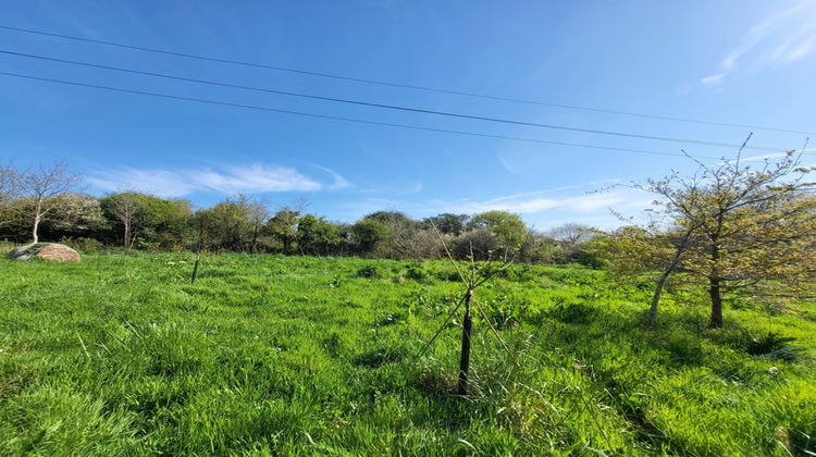 Ma-Cabane - Vente Divers CROZON, 520 m²