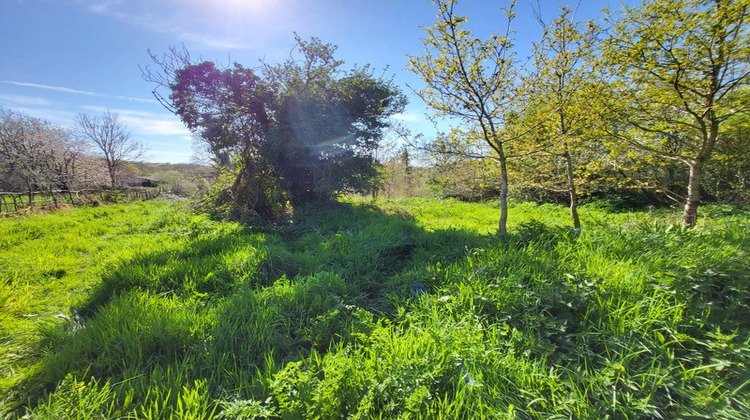 Ma-Cabane - Vente Divers CROZON, 520 m²