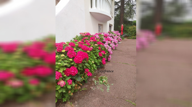 Ma-Cabane - Vente Divers DARDILLY, 230 m²