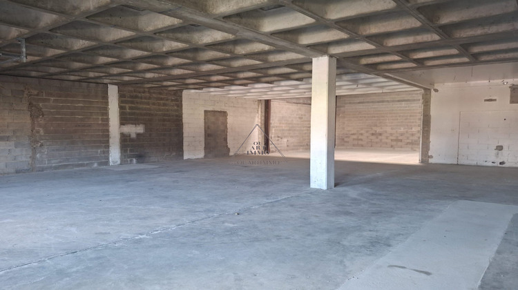 Ma-Cabane - Vente Divers Fegersheim, 160 m²