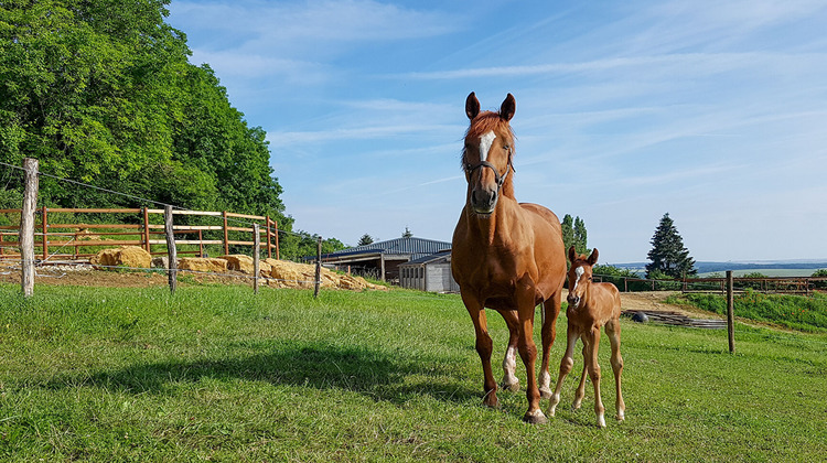 Ma-Cabane - Vente Divers FORBACH, 180 m²