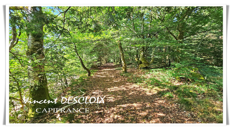 Ma-Cabane - Vente Divers GIEN SUR CURE, 19965 m²