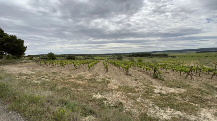 Ma-Cabane - Vente Divers Ginestas, 0 m²