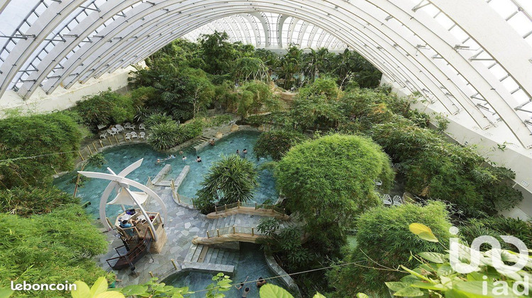 Ma-Cabane - Vente Divers Hattigny, 79 m²