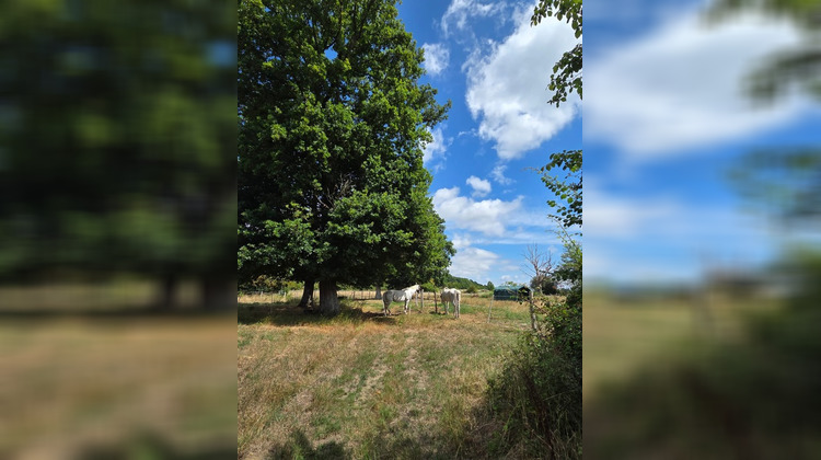 Ma-Cabane - Vente Divers HAUTERIVE, 130 m²