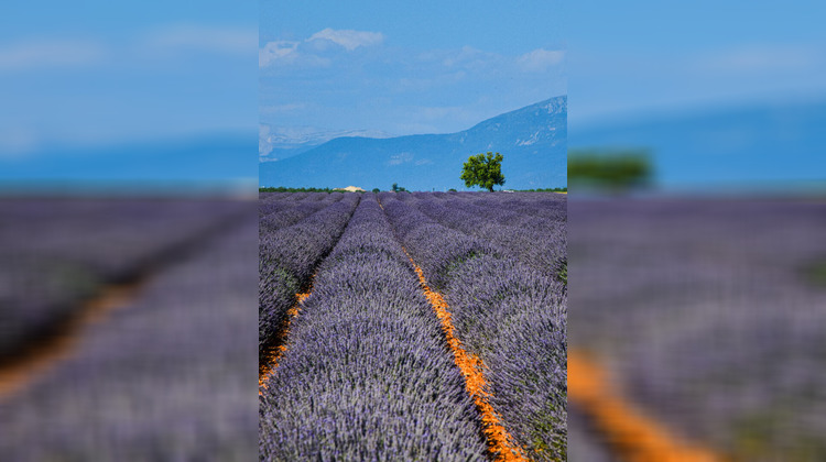 Ma-Cabane - Vente Divers L'ISLE-SUR-LA-SORGUE, 1 m²