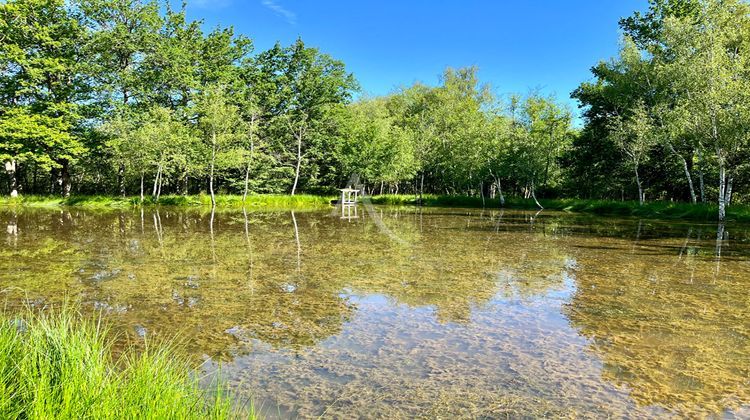 Ma-Cabane - Vente Divers LA FERTE-SAINT-AUBIN, 106053 m²