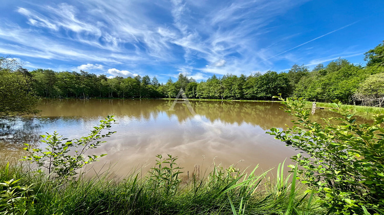 Ma-Cabane - Vente Divers LA FERTE-SAINT-AUBIN, 92231 m²