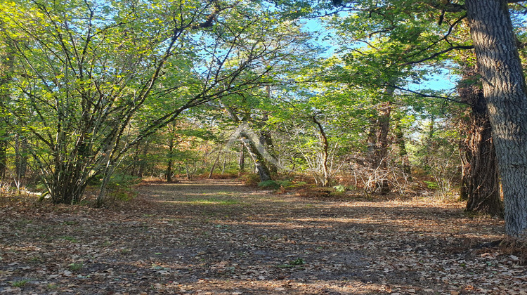 Ma-Cabane - Vente Divers LA FERTE-SAINT-AUBIN, 0 m²