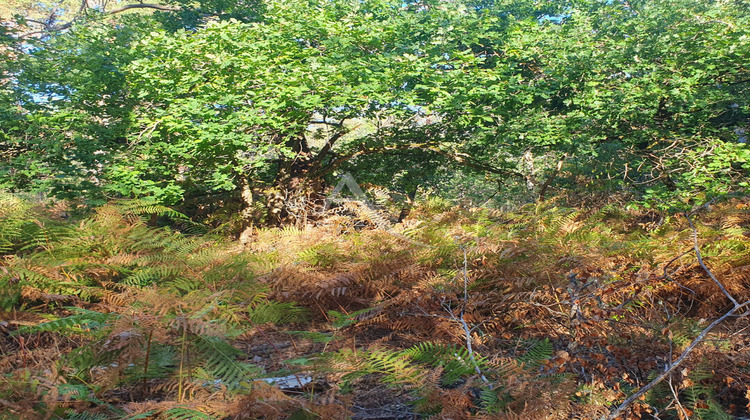 Ma-Cabane - Vente Divers LA FERTE-SAINT-AUBIN, 0 m²