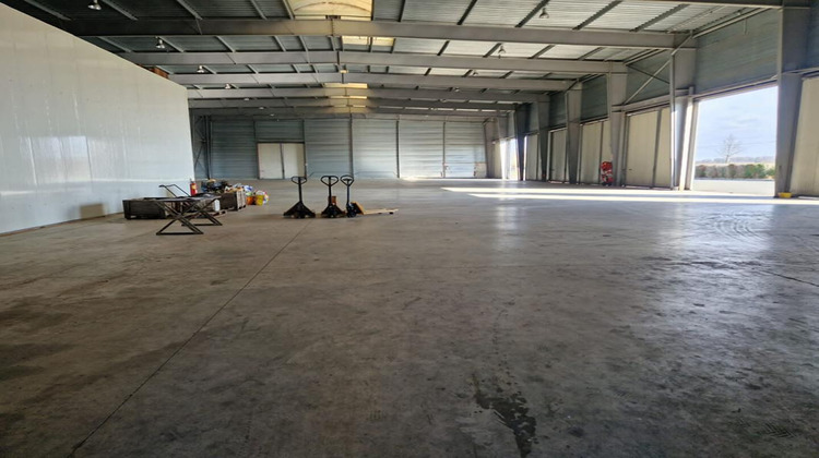 Ma-Cabane - Vente Divers LAILLY EN VAL, 1800 m²