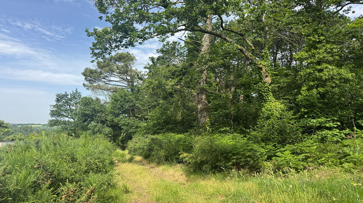 Ma-Cabane - Vente Divers LANDEVANT, 0 m²