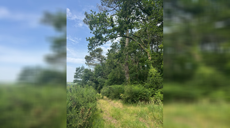 Ma-Cabane - Vente Divers LANDEVANT, 0 m²