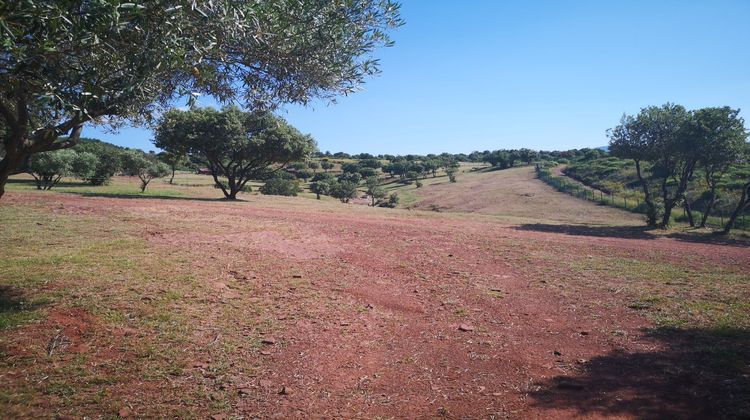 Ma-Cabane - Vente Divers Le Bosc, 120 m²