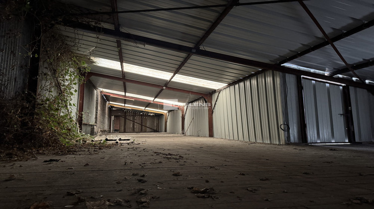 Ma-Cabane - Vente Divers Lille, 491 m²