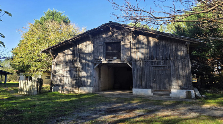 Ma-Cabane - Vente Divers LINXE, 159 m²