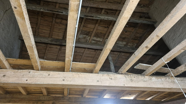 Ma-Cabane - Vente Divers LOUPIA, 150 m²