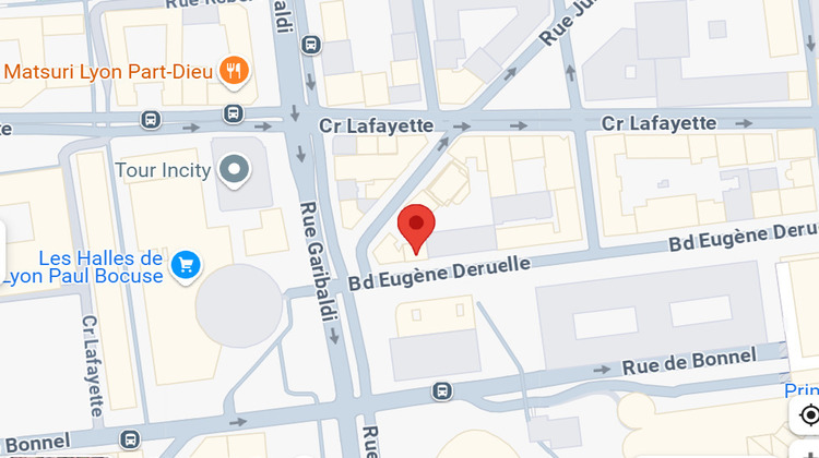 Ma-Cabane - Vente Divers LYON 6, 0 m²