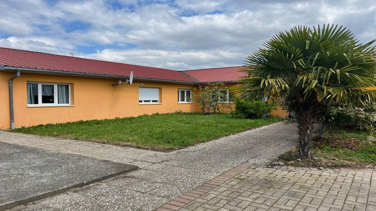 Ma-Cabane - Vente Divers Marckolsheim, 600 m²