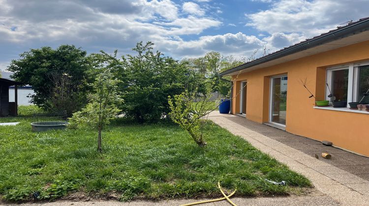 Ma-Cabane - Vente Divers Marckolsheim, 600 m²