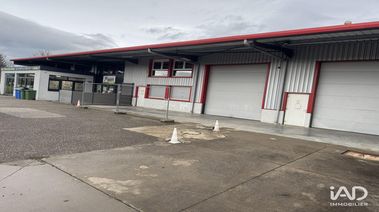 Ma-Cabane - Vente Divers Marlenheim, 523 m²