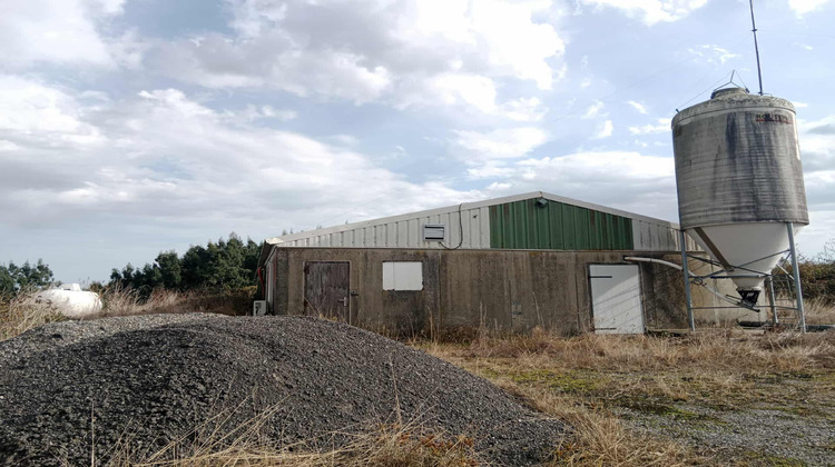 Ma-Cabane - Vente Divers Mesplède, 450 m²