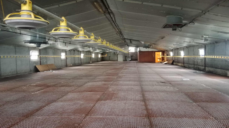 Ma-Cabane - Vente Divers Mesplède, 450 m²