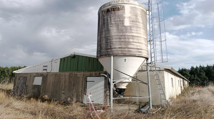 Ma-Cabane - Vente Divers Mesplède, 450 m²