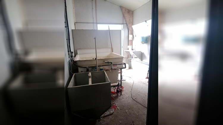 Ma-Cabane - Vente Divers Mesplède, 450 m²