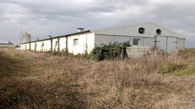 Ma-Cabane - Vente Divers Mesplède, 450 m²