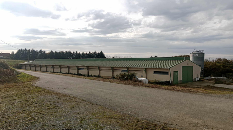 Ma-Cabane - Vente Divers Mesplède, 450 m²