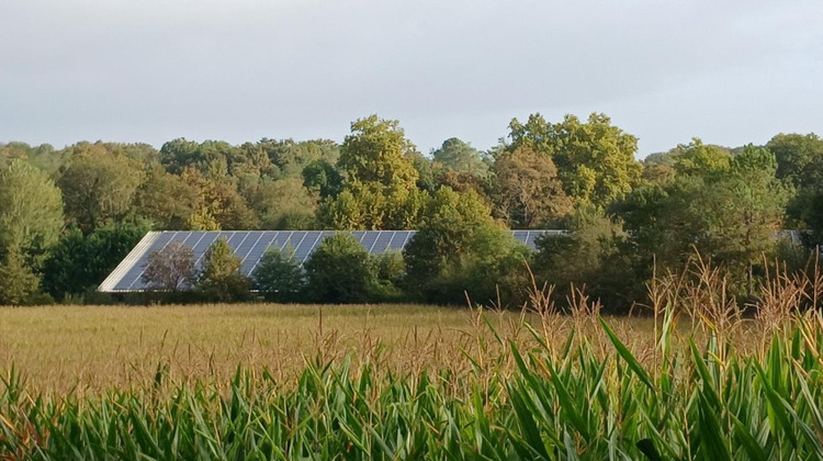 Ma-Cabane - Vente Divers MIMBASTE, 220 m²