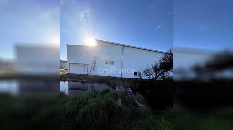 Ma-Cabane - Vente Divers NOTRE DAME DE MONTS, 90 m²