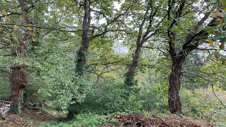 Ma-Cabane - Vente Divers PLANCOET, 0 m²