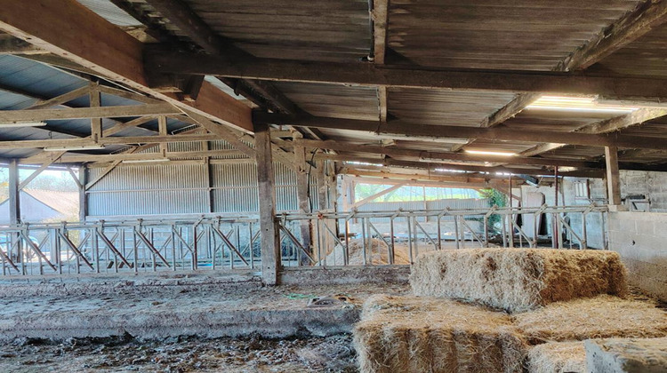 Ma-Cabane - Vente Divers PLOREC SUR ARGUENON, 765 m²