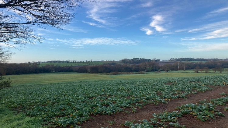 Ma-Cabane - Vente Divers PLUVIGNER, 0 m²