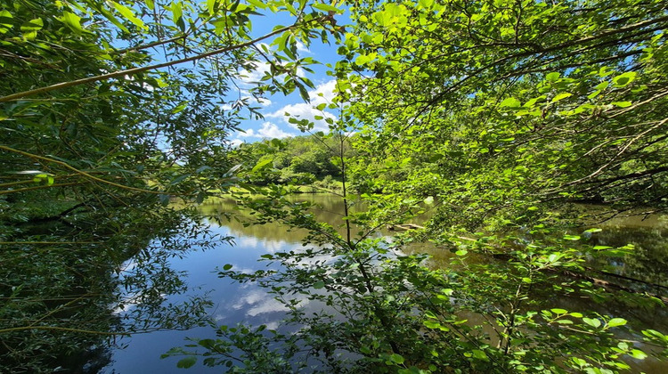 Ma-Cabane - Vente Divers PRESSIGNAC, 18994 m²