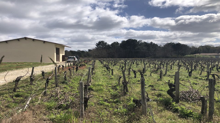 Ma-Cabane - Vente Divers QUEYRAC, 100 m²