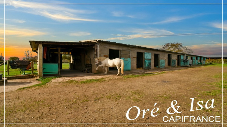 Ma-Cabane - Vente Divers REIGNY, 237 m²