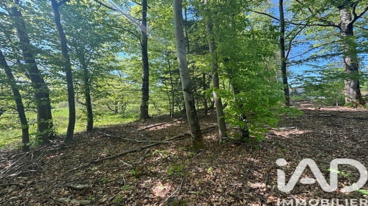 Ma-Cabane - Vente Divers Renauvoid, 120 m²