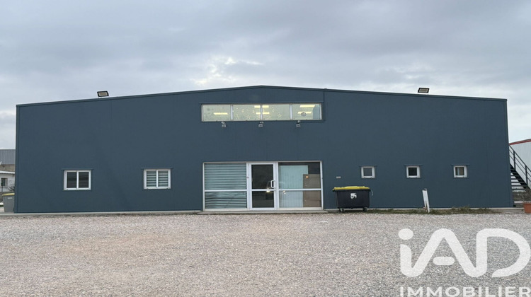 Ma-Cabane - Vente Divers Rivesaltes, 665 m²