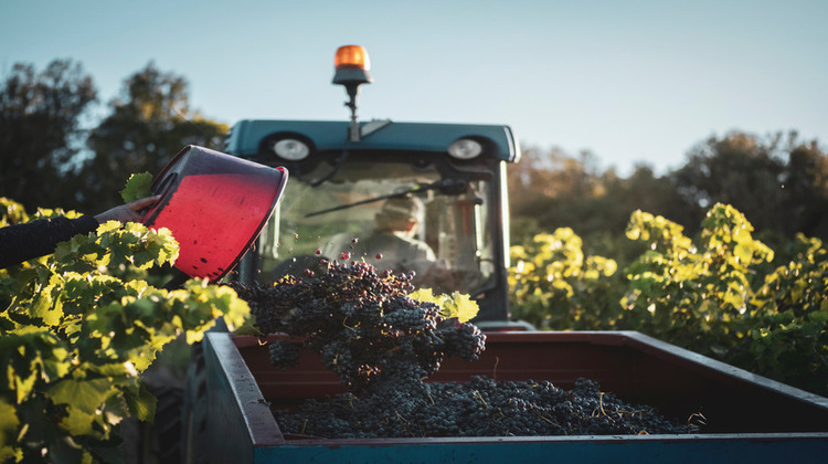 Ma-Cabane - Vente Divers ROQUESSELS, 572 m²