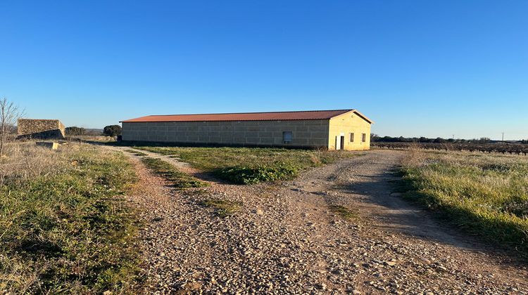 Ma-Cabane - Vente Divers SAINT-ANDRE-DE-SANGONIS, 400 m²