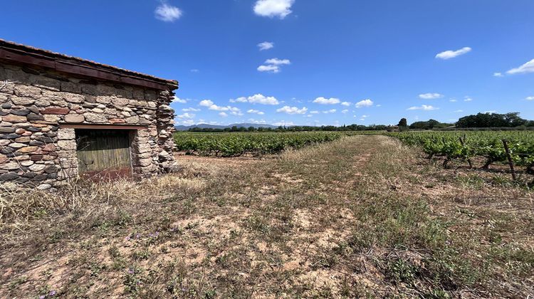 Ma-Cabane - Vente Divers SAINT-ANDRE-DE-SANGONIS, 400 m²