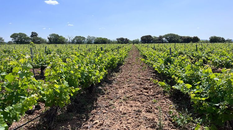 Ma-Cabane - Vente Divers SAINT-ANDRE-DE-SANGONIS, 400 m²