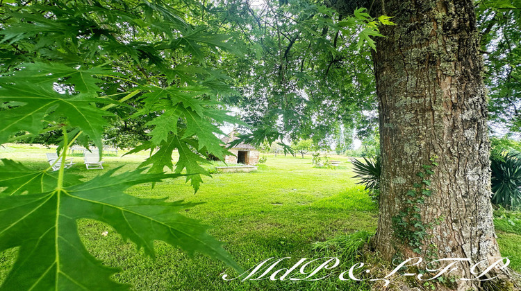 Ma-Cabane - Vente Divers SAINT AVIT SAINT NAZAIRE, 700 m²