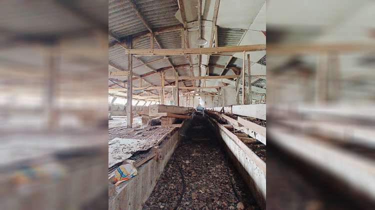 Ma-Cabane - Vente Divers Saint-Dolay, 558 m²